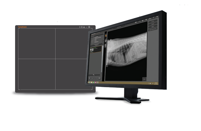 Detector Focus 35C Veterinario
